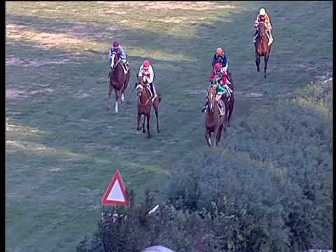 Galoppo 02/01/2019 - 1ª corsa