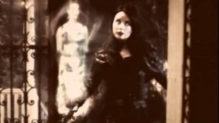 true Beauty is so painful- the opera