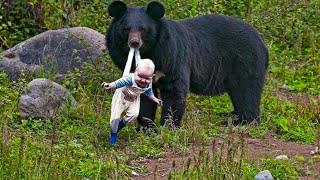 Bear refuses to let baby go - Ranger bursts into tears when he discovers why