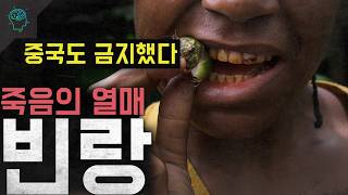Download lagu '중국도 금지한 금단의 열매' 6억명이 중독된 죽음의 열매 '빈랑' mp3