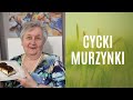 Ciasto "Cycki murzynki"