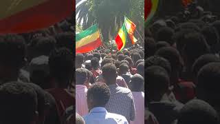 Bahir dar raya  and wolkayt revolution
