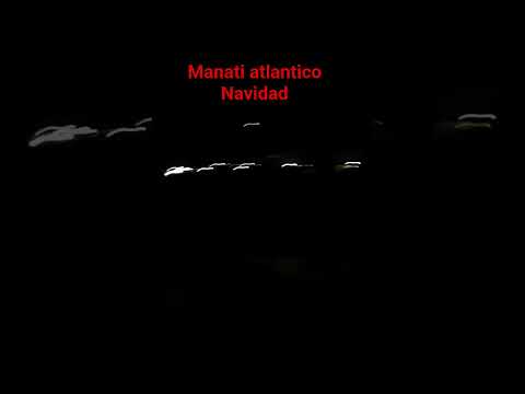 #manati #diciembre #navidad