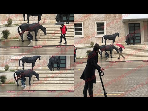 E lag shiu, qytetari gjen strehë poshtë kuajve të Ramës! Shikoni momentet dhe reagimet