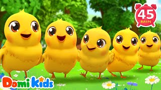 五只小雞走丟了🐥 | 尋找小雞大冒險 | 寶寶觀察力訓練 | 幼兒啟蒙遊戲 | 親子互動兒歌🎵 | 寶貝多米