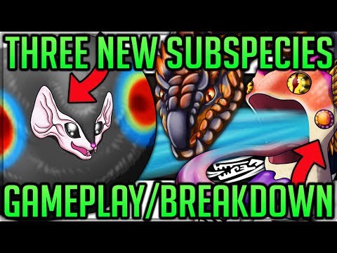 Coral Pukei Pukei/Viper Tobi Kadachi/Nightshade Paolumu - Monster Hunter World Iceborne! #iceborne