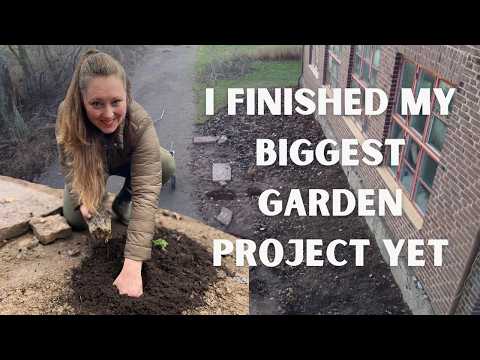 After Two Months, My 50 m² Rose Bed Is Finally Done 🌹E78