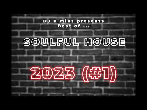 DJ Rimiks - Best of Soulful 2023 (#1)