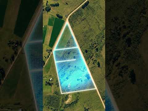 Cialceta Propiedades | Cuatro chacras disponibles en la zona de Migues