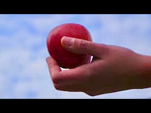 Geben und Nehmen - Das Gesetz von Ursache und Wirkung