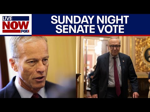Video | Senate leaders weigh in ahead of government shutdown test vote