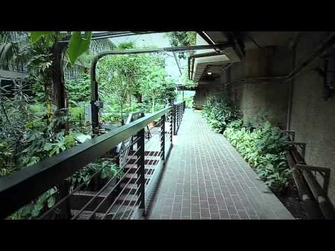 Wikimania 2014 Walkabout (part 2 - upstairs)