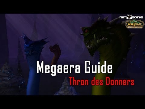 Megaera (10/25) NHC Guide - Throne of Thunder
