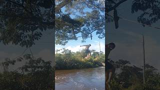 AQUI TEM CORAGEMM pulei de 5 metros de altura de uma árvore #shorts