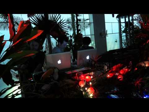 The RealBirds @Marvellous Island Festival - Jeudi 9 Mai 2013