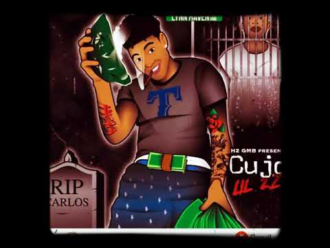 Lil 2z - Fuck Fame🖕 [Cujo]