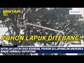 Setelah Jatuh Dua Korban, Pohon di Lapangan Merdeka Binjai Kembali Dipotong