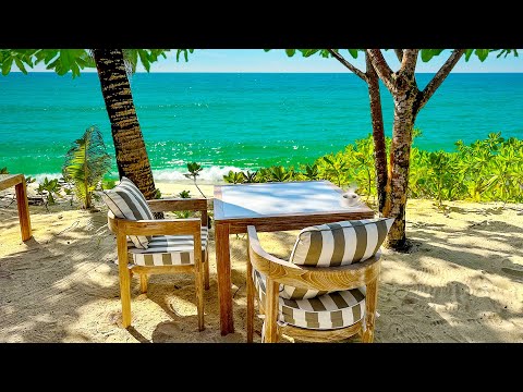 Morning Tropical Beach Cafe Ambience ☕Jazz Coffee with Bossa Nova Music, Ocean Wave Sounds for Sleep