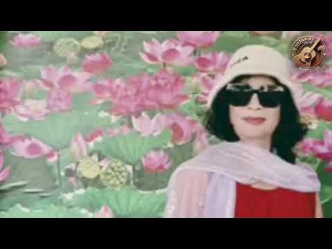 Xuân cao nguyên - Thái Hoàng