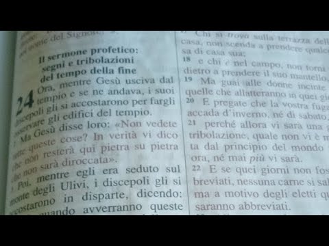 Segni degli ultimi tempi: Violenza, spirito di contesa, odio e mancanza d'amore