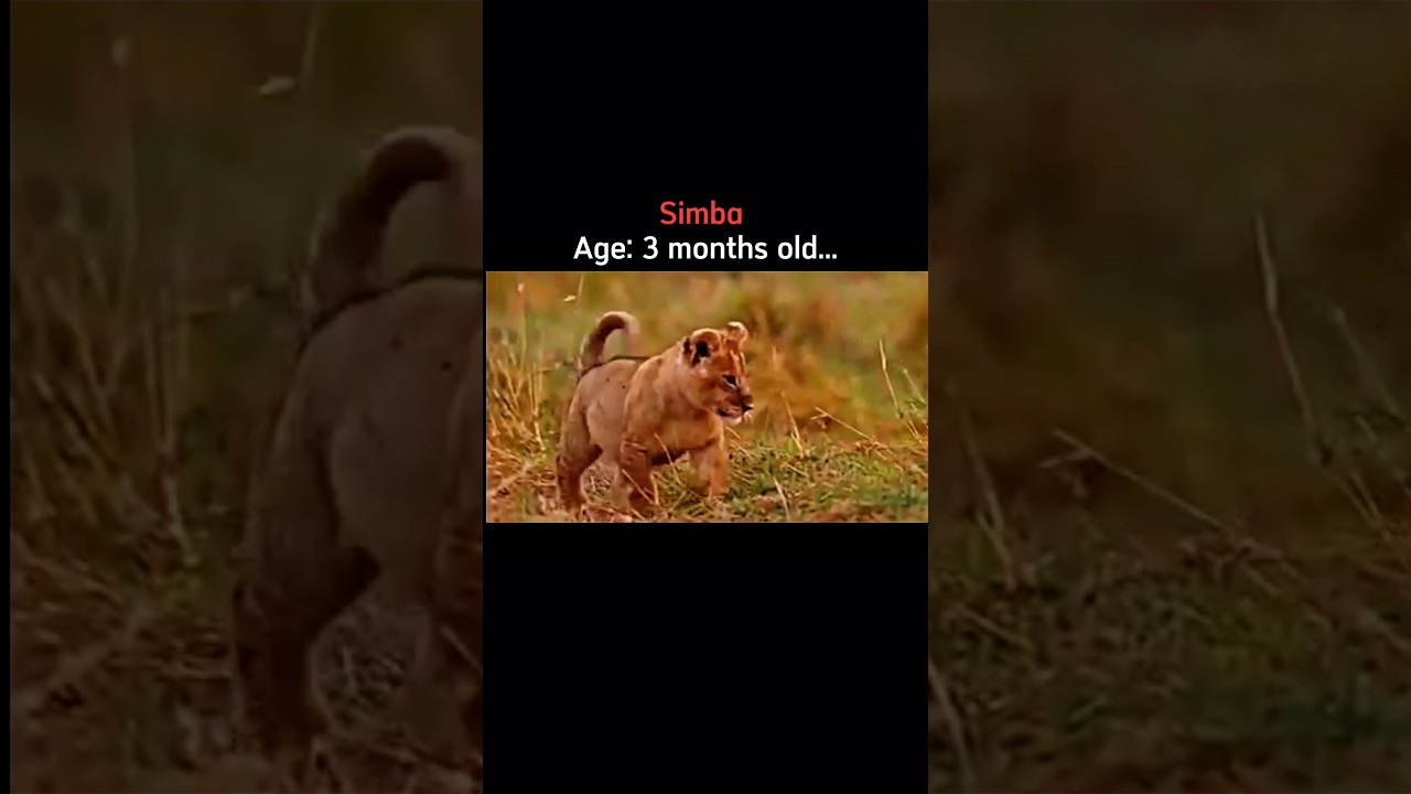 Lion King characters in real life and their ages 🤯 #viral #shorts #youtube #video