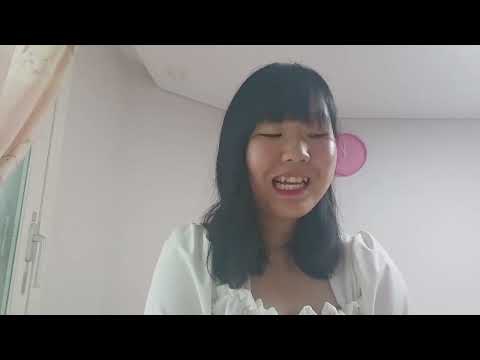 비디오 5
