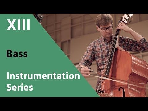 The Bass - David Newman Instrumentation Series