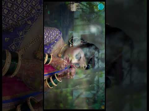 Wedding Photographer portfolio by Third Eye Visio in Pune - Photo 1 Wedding Photographer portfolio by Third Eye Visio in Pune - Photo 1
