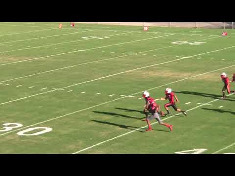 Imperial Tigers Pee Wee vs Mid valley pop warner #22 Joey Ramos good run 2014