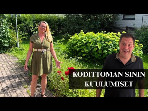Kodittoman Sinin tilanne nyt