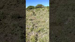 [揪人] 11/17-19嘉明湖