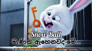 ❤️Manika Ahenawada Me-Snow ball