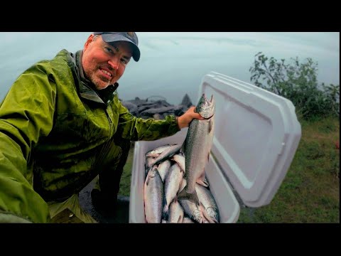 Alaska Salmon Fishing: How We Caught 100 LBS Before Winter