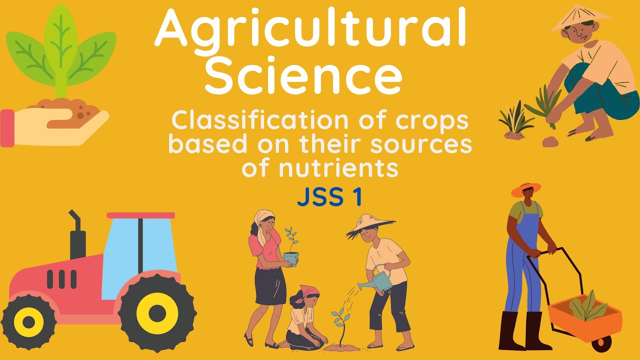 06 - Agricultural Science | J.S.S.1 | Classification of Crops based on Nutrients