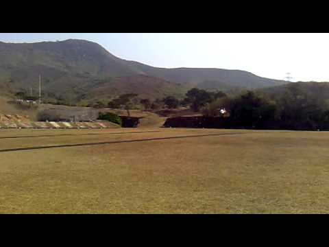 Dauphin with scale tf blades