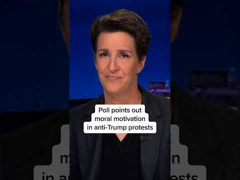 Poll points out moral motivation in anti-Trump protests