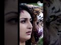 Tarzen Heman Movie Tiger Entry Scene With Bgm WhatsApp Status Shorts