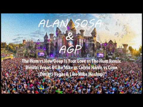 The Hum vs How Deep Is Your Love - DV&LM vs Calvin Harris vs Coone (DV&LM Masuhp)