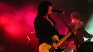 little birdy come on come on coolangatta