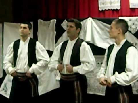 PASTIRI VREMENA - ZORA ZORI, PETLI POJE