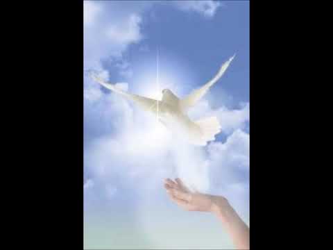 Klapa Narenta - Klanjam Ti se smjerno (F. Schubert).wmv