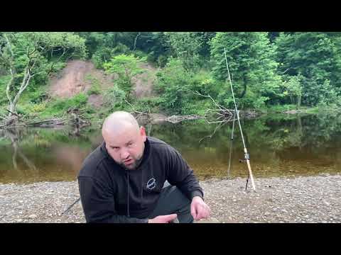 Barbel fishing River Ribble