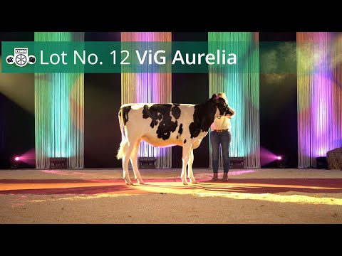 Kat Nr 12 ViG Aurelia P