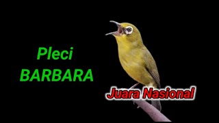 Download lagu Pleci BARBARA National Champion mp3 Download lagu Pleci BARBARA National Champion mp3
