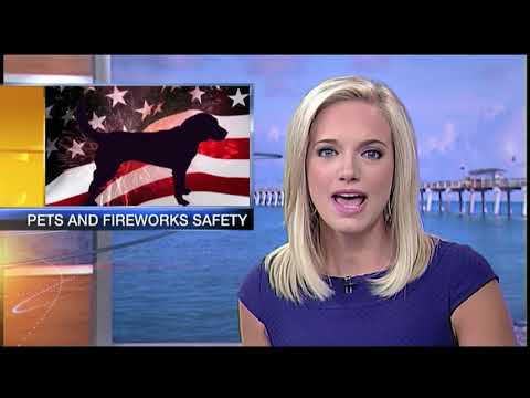 Video: ABC7 News at 5pm - July 3, 2018