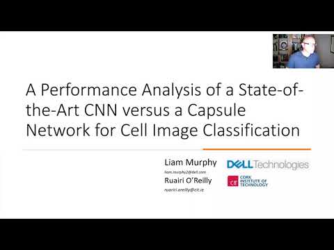 Performance Analysis of State-of-the-Art CNN versus a Capsule Network for Cell Image Classification