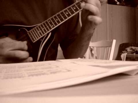 Mandolin - Beethoven - Für Elise