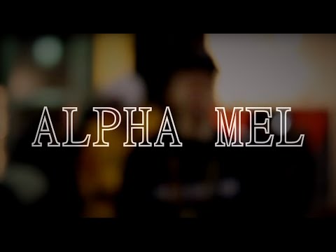 Alpha Melz Ft. Dash "Stay Focused" (Tragik Video Prod. - OFFICIAL MUSIC VIDEO) **PREMIERE VIDEO**