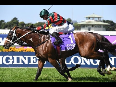 2019 ATC Rosehill Guineas
