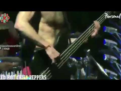 Red Hot Chili Peppers - Look Around - Lollapalooza Argentina 2014
